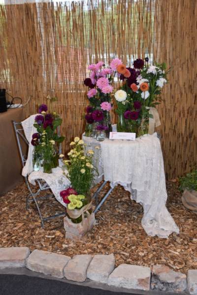 DSC_2177_533x800