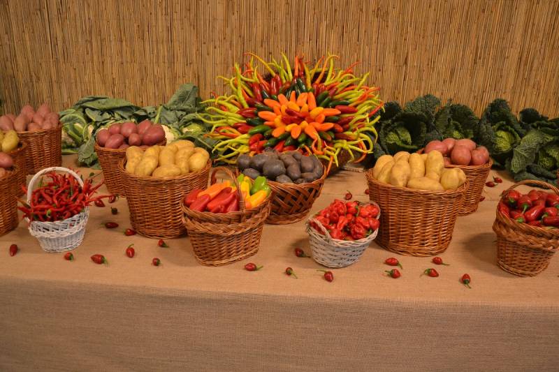 DSC_4542_1200x800