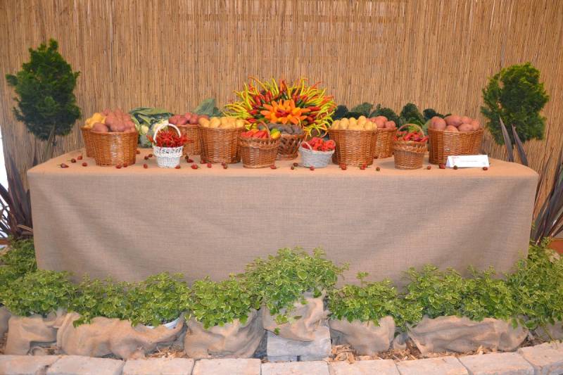 DSC_4544_1200x800