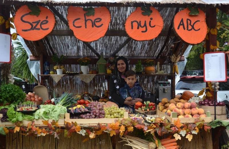 DSC_4569_1233x800