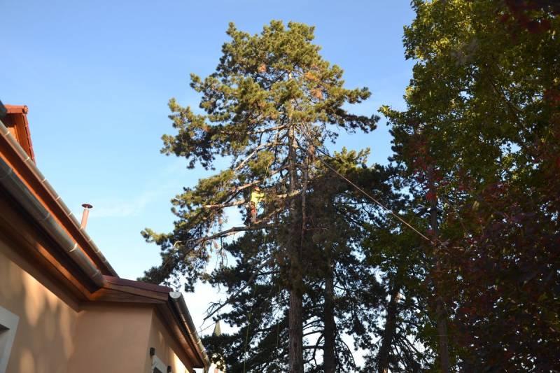 DSC_5695_1200x800