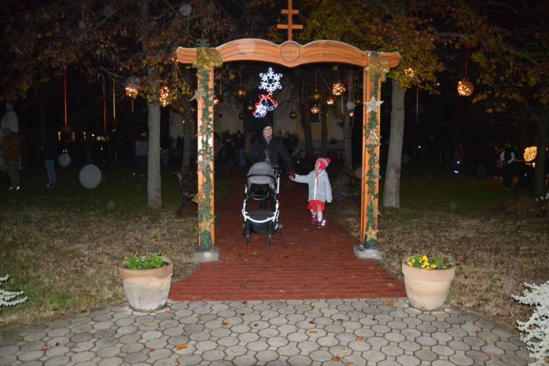 DSC_7450_1200x800