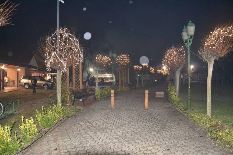 DSC_7828_1200x800