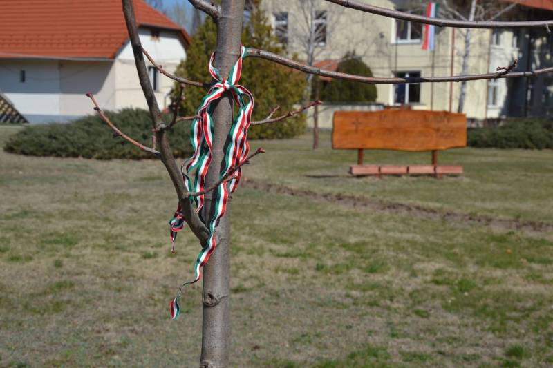DSC_0663_1280x853