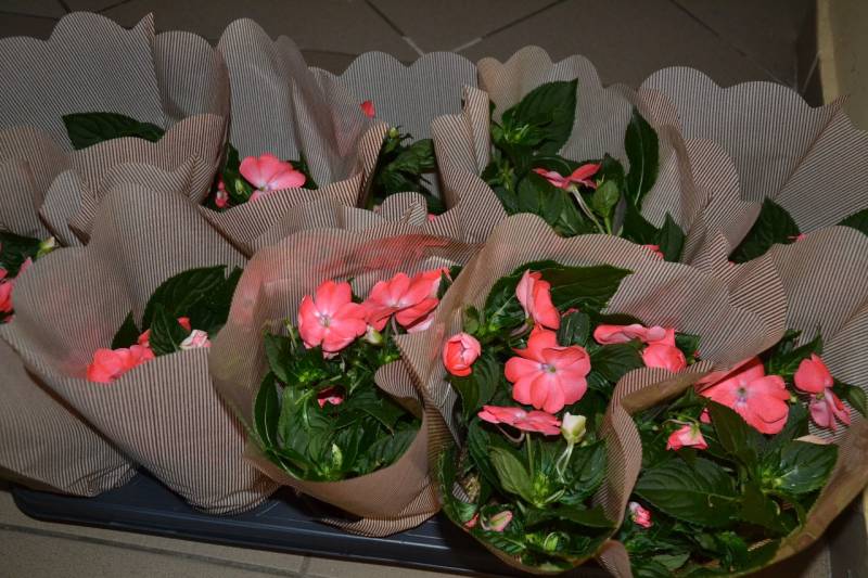 DSC_0699_1280x853