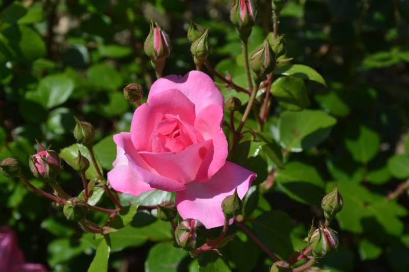 DSC_2104_1280x853