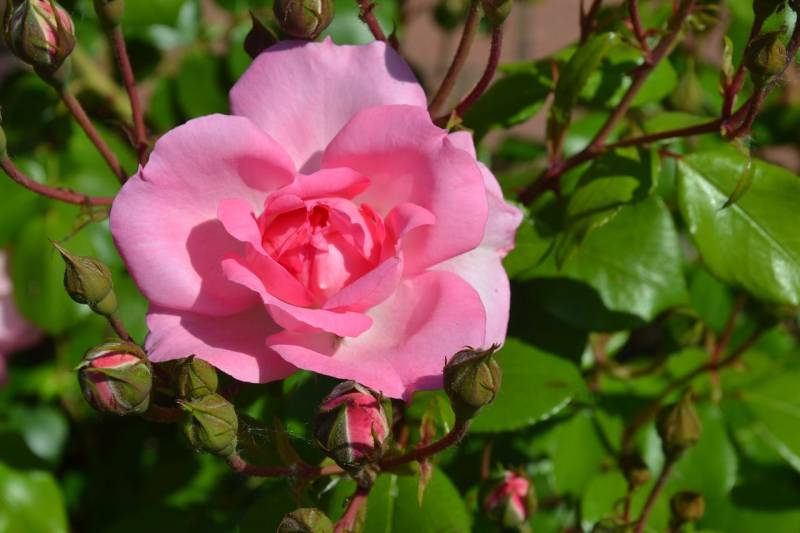 DSC_2108_1280x853