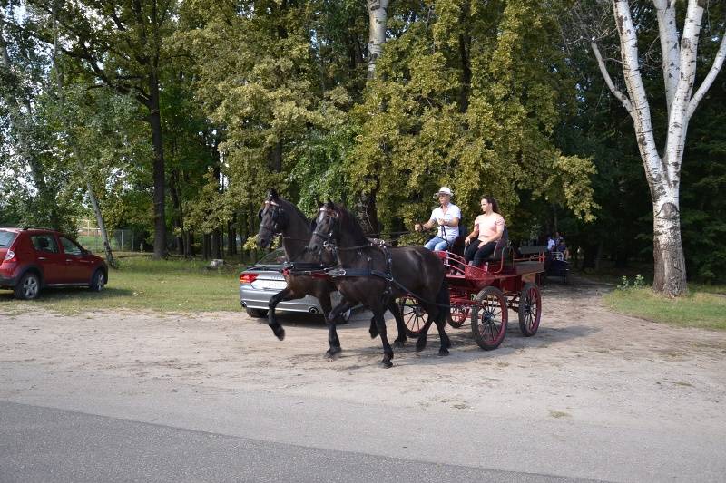 DSC_3782_800x533