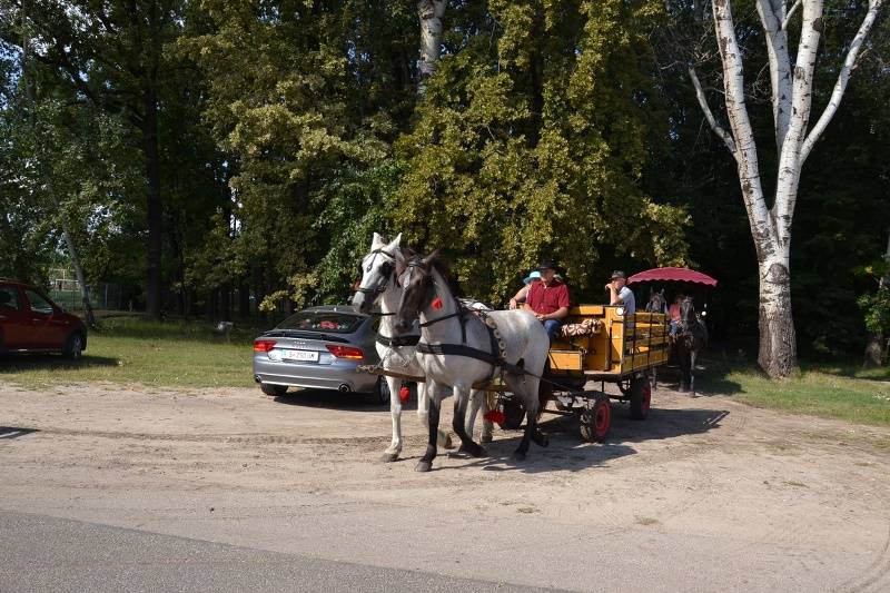 DSC_3792_800x533