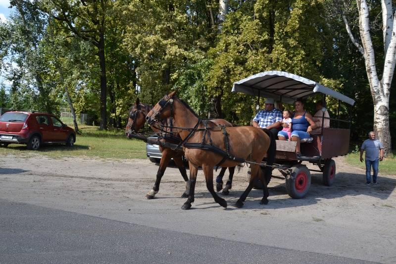 DSC_3795_800x533