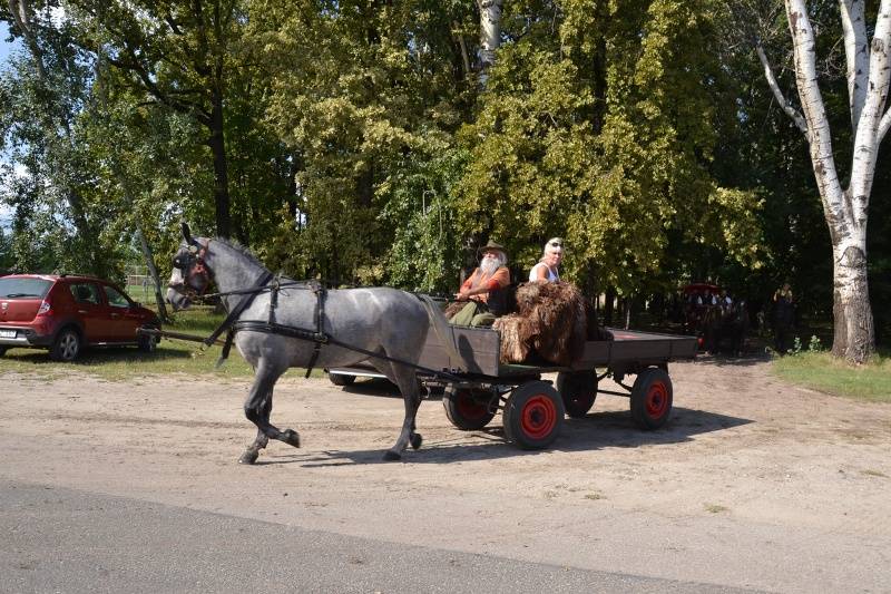 DSC_3802_800x533