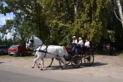 DSC_3776_800x533