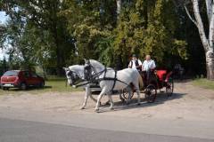 DSC_3779_800x533