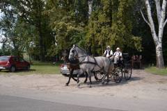 DSC_3780_800x533