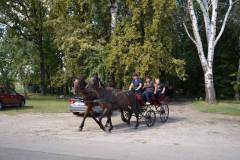DSC_3781_800x533