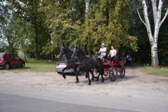 DSC_3782_800x533