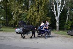 DSC_3783_800x533