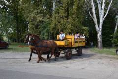 DSC_3794_800x533