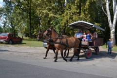 DSC_3795_800x533