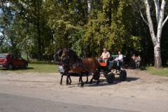 DSC_3801_800x533