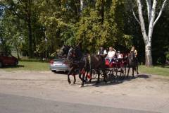 DSC_3803_800x533