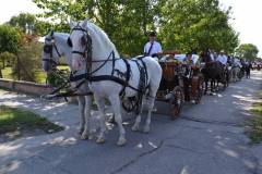 DSC_3815_800x533