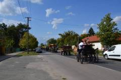 DSC_3861_800x533