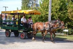 DSC_3885_800x533
