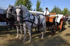 DSC_3924_800x533