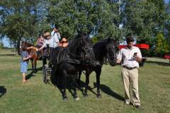 DSC_3927_800x533