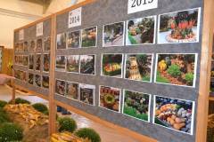 DSC_3585_800x533