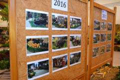 DSC_3586_800x533