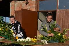 DSC_0247a_800x499