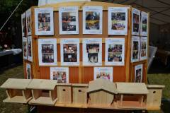 DSC_3731_800x533