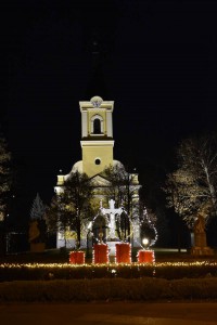 DSC064748342