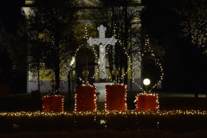 DSC069746392