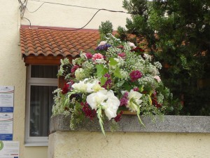DSC01983