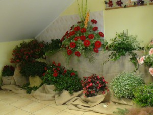 DSC01984