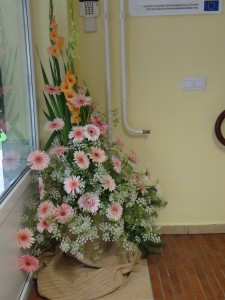 DSC01991
