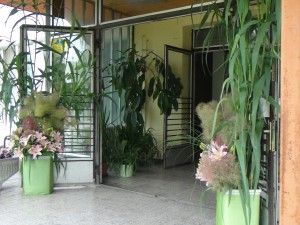 DSC02040