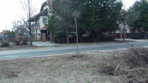 14-DSC08757