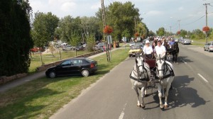 DSC02006