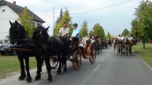 DSC02037