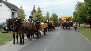 DSC02064