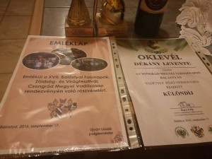 Főzés-Dékány Levente-5