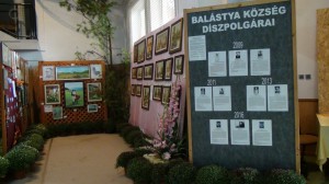 DSC03702