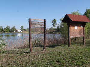 DSC08831