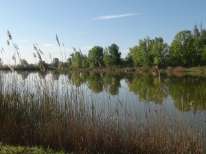 DSC08868
