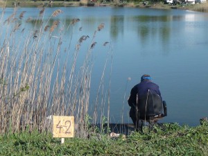 DSC08900