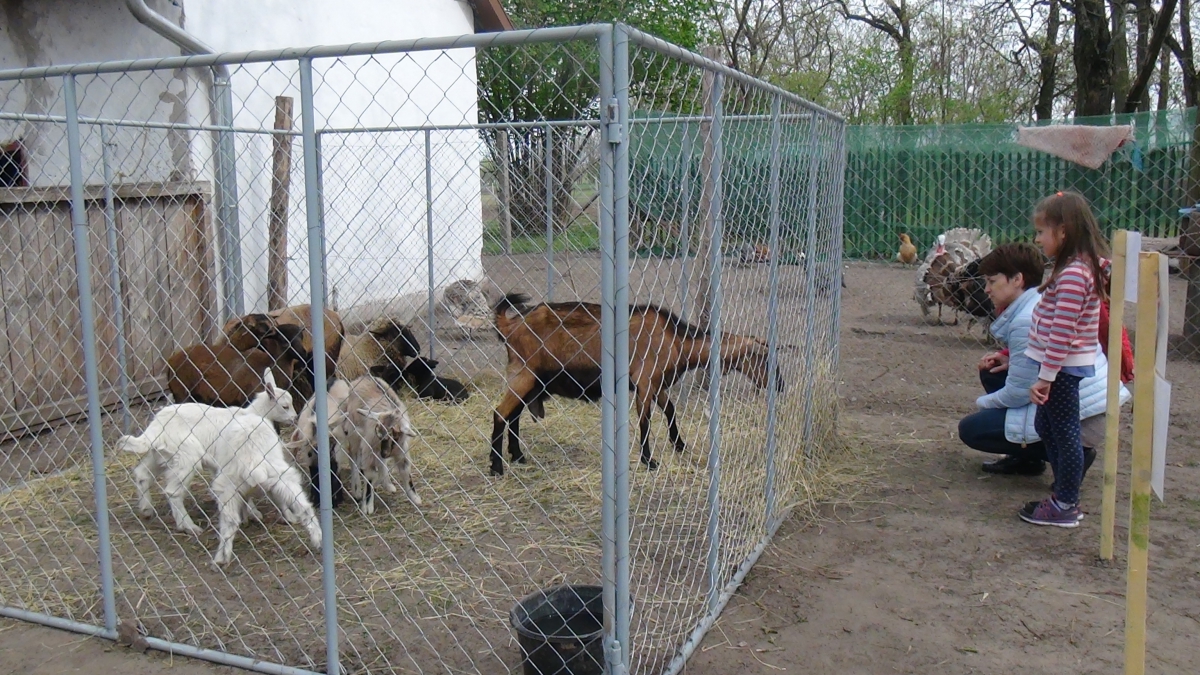 07-DSC09905
